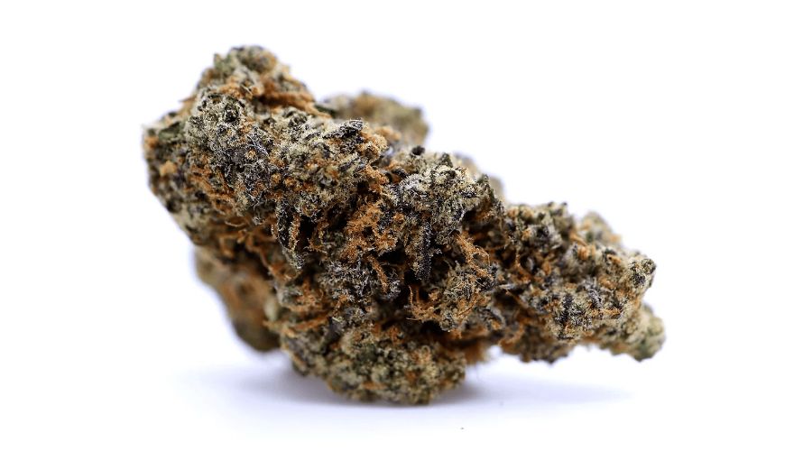 Buy Mint Chocolate Chip from an online weed dispensary and treat yourself to a terpene-rich strain with a myriad of health properties.