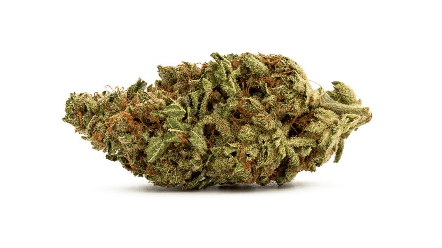 The Violator strain is Canada's top-selling bud, but don't get us wrong — it's not for everyone. 