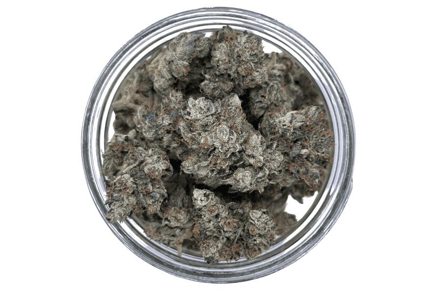 It’s got a fierce name and an even fiercer attitude. The Violator strain is the destroyer of stress, pain, & anxiety. Learn why you need to buy it today!