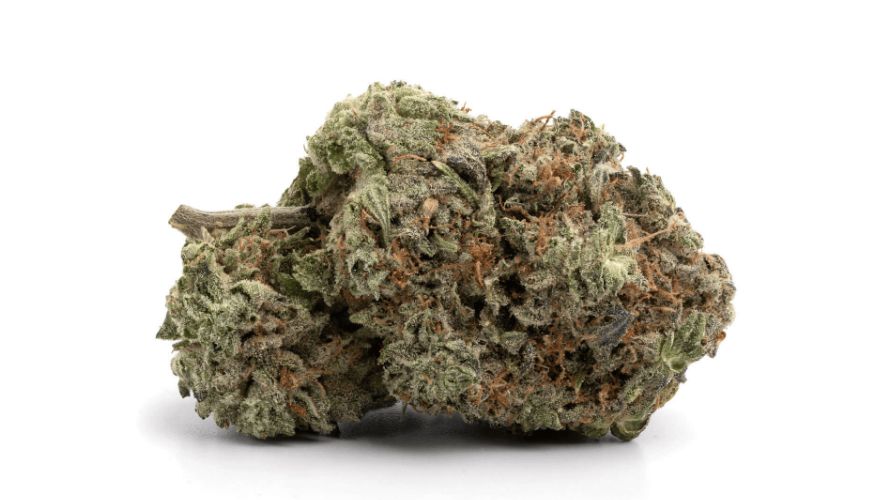 After reading this Pink Death Star strain review, you might be wondering, so what next? Where can I order weed online in Canada?