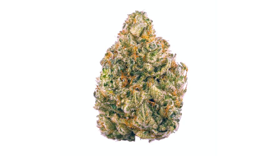 The AK 47 weed strain is a best seller in many dispensaries in Canada and around the world. 