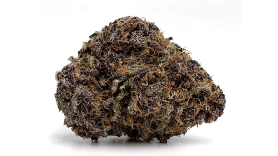 If you love to experience a whole-body cannabis experience with a heavy-hitting aroma and sweet earthy flavours, grab a pack of Purple Space Cookies. 