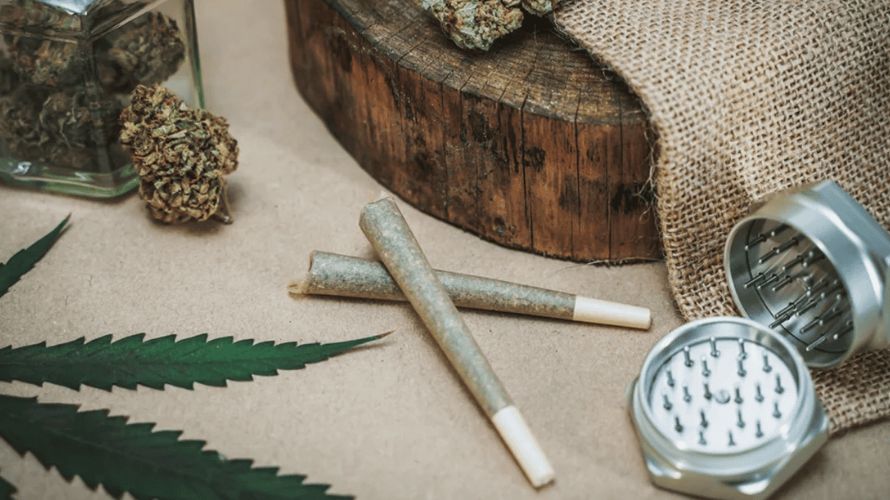 Choosing a pot dispensary to buy cannabis online from is the step that can either break or make your weed shopping experience. So, where do you order pot online?