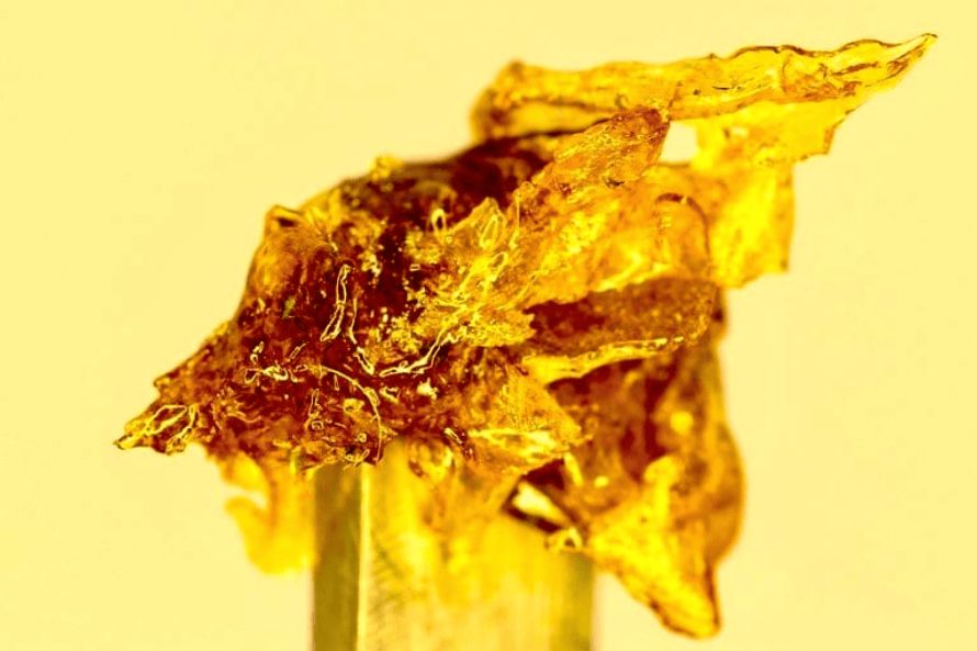 Buy rosin in Canada & dab the purest, most potent weed product. Explore the perks of concentrates & why you need to buy rosin online in Canada!