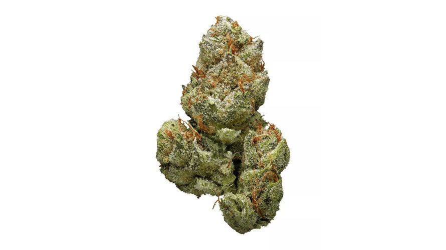 Chocolate Kush is an indica-dominant cannabis strain renowned for its rich chocolate flavour and relaxing effects. 