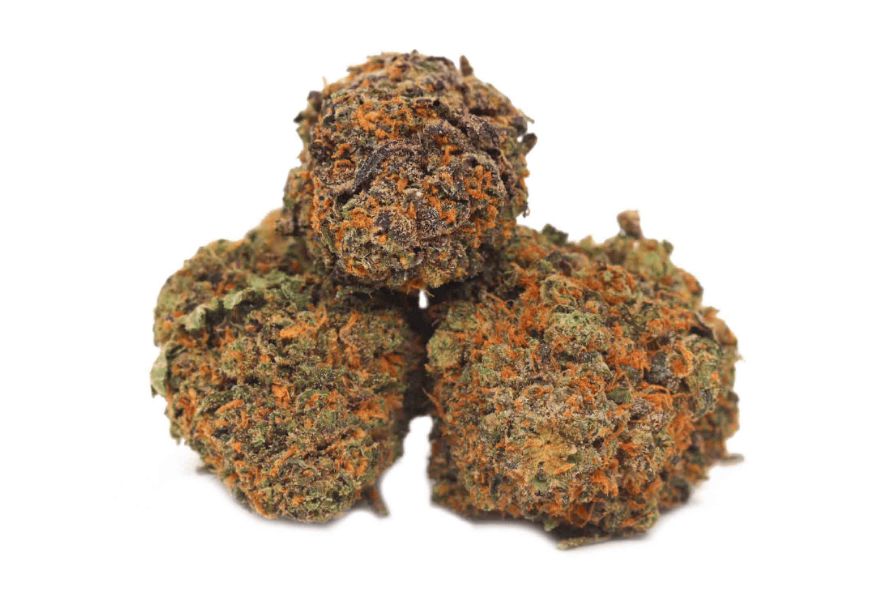 The Georgia Pie strain is an indica-dominant hybrid loved for its insane THC levels, great flavours & effects. Buy Georgia Pie weed strain online.