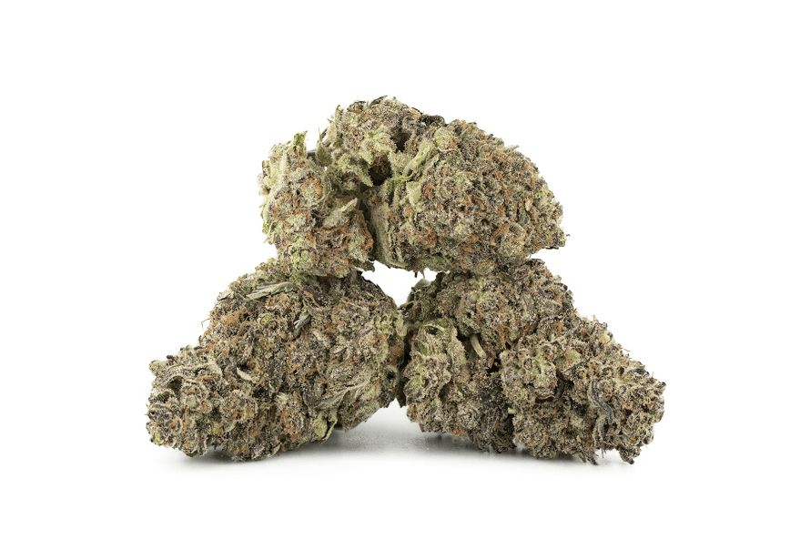 What is the Oreoz strain and why is it the sweetest powerbud for 2024? Learn about the THC levels & aromas in this extensive guide to Oreoz!