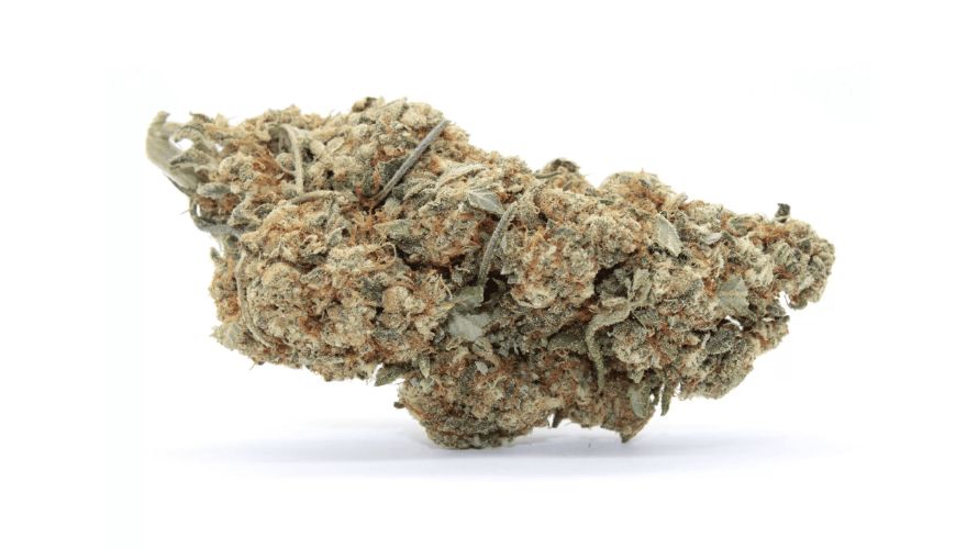 The Orange Crush strain is an ideal option if you're looking for a pleasant stoning experience. 