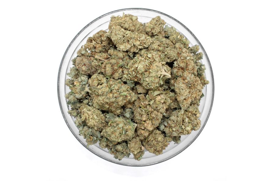Looking for a mild head high in a pack of flavour and potency? Buy the Orange Crush strain at ChronicFarms and kickstart your day. 
