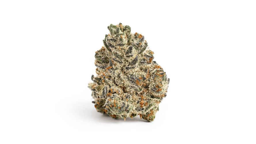 Oreoz is the hybrid cross of Cookies and Cream and Secret Weapon, two legendary buds known for their insanely delicious flavour and sedative powers.