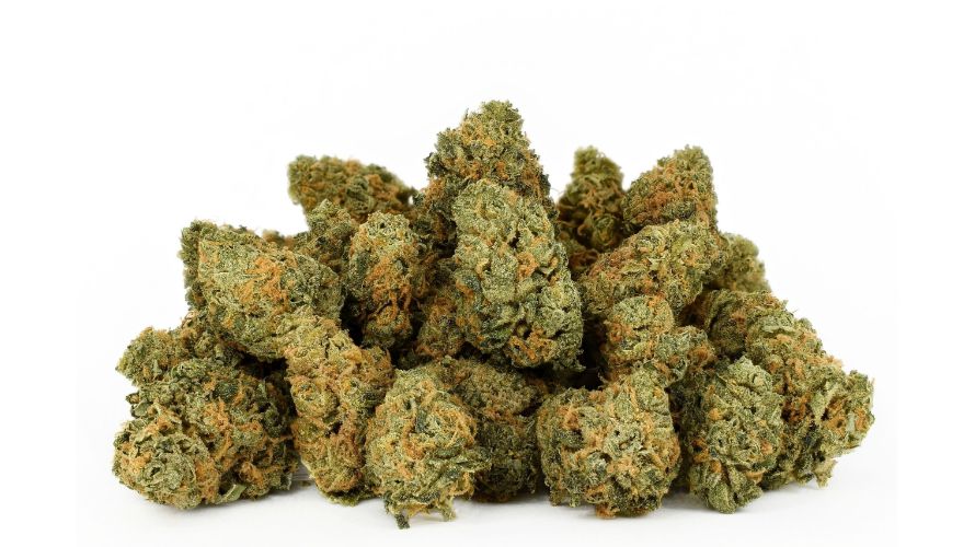 ChronicFarms is an online weed dispensary based in Vancouver, BC, Canada, where you can easily find this magic strain. 