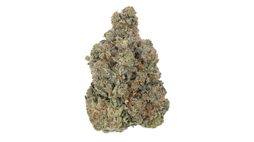 The Watermelon Gushers strain is a sour, sweet, tropical citrusy Indica hybrid (70 percent Indica and 30 percent Sativa). 