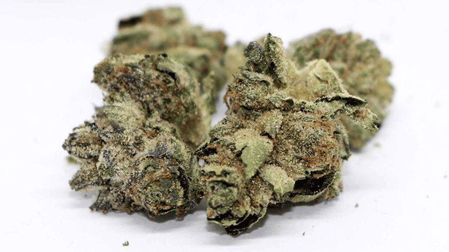 The White Death Bubba strain has a successful track record of helping individuals suffering from various mental complications, such as anxiety and depression.