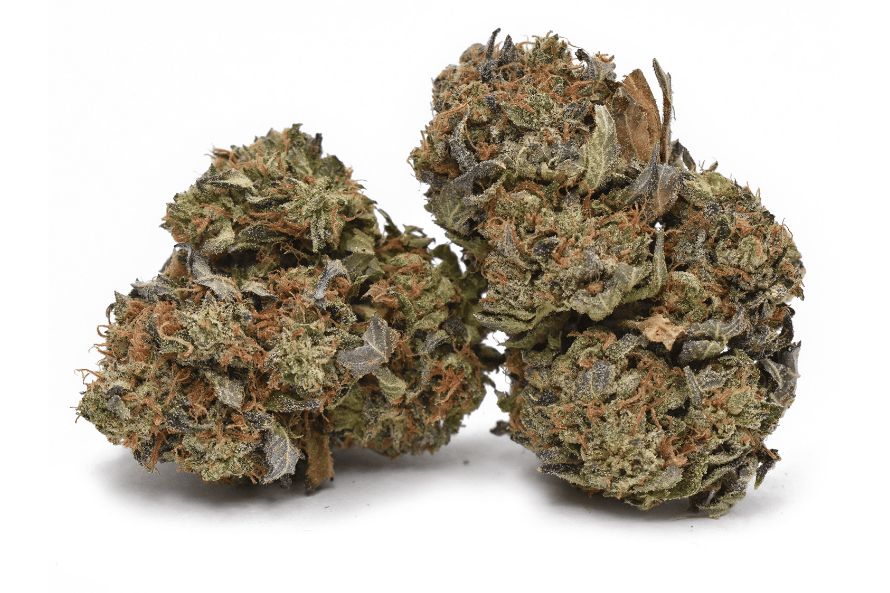 Are you looking for a heavy-hitting cannabis strain that will wash your worries and leave you relaxed? Buy the White Death strain at CF & enjoy. 