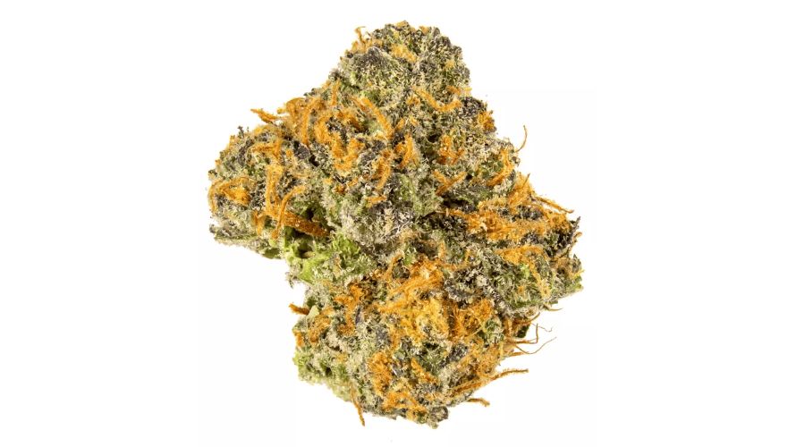 The Gushers weed strain is a hybrid blend of two infamous parents: the Gelato #41 and the Triangle Kush. Gelato #41, a Sativa hybrid with up to 22 percent THC has a citrusy and creamy flavour and sour aroma. 