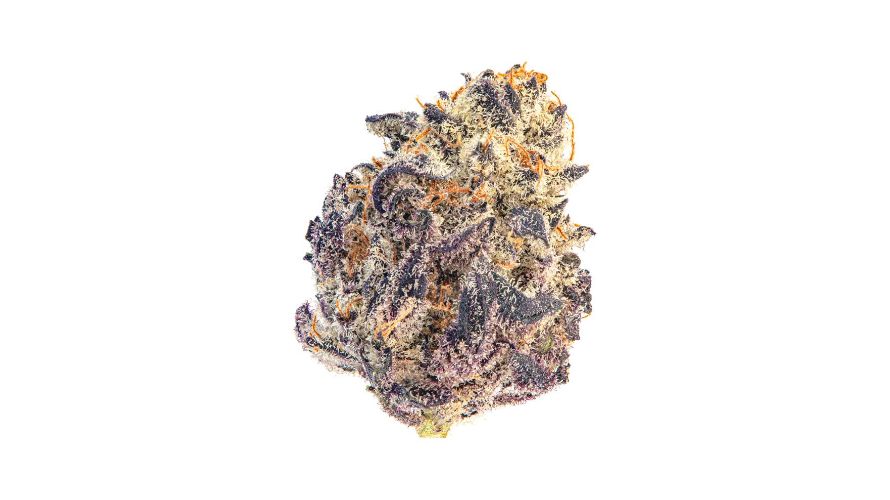 As an Indica, the Oreoz strain tends to be sleep-inducing, relaxing, and couch-locking — essentially, the effects are body-focused. Aroma-wise, you can expect a natural, kush flavour typical of Indicas.
