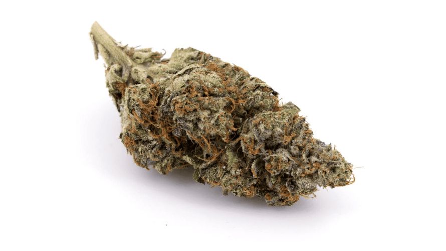 The White Death strain, also known as the White Death Bubba strain, is a powerhouse for good reasons. 