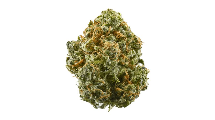 Blue Dream, a balanced indica and sativa genetics blend, is one of the most popular hybrid strains.