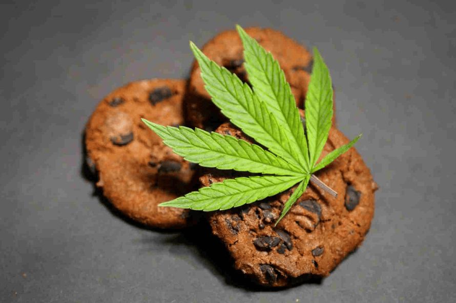 Want to buy edibles online? This guide discusses the ins & outs of weed edibles, including types & benefits of buying edibles online in Canada.