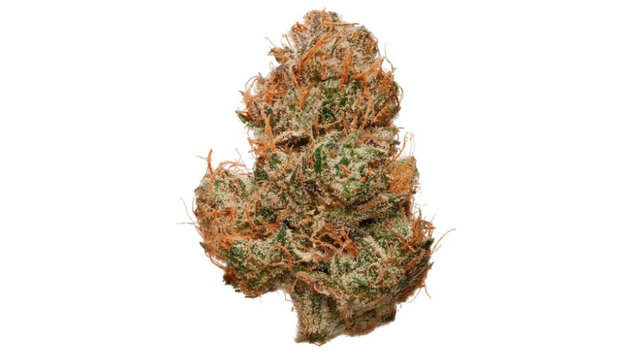The Orange Crush strain is perfect: an infectious smell and taste, high THC levels, and a powerful yet balanced high.