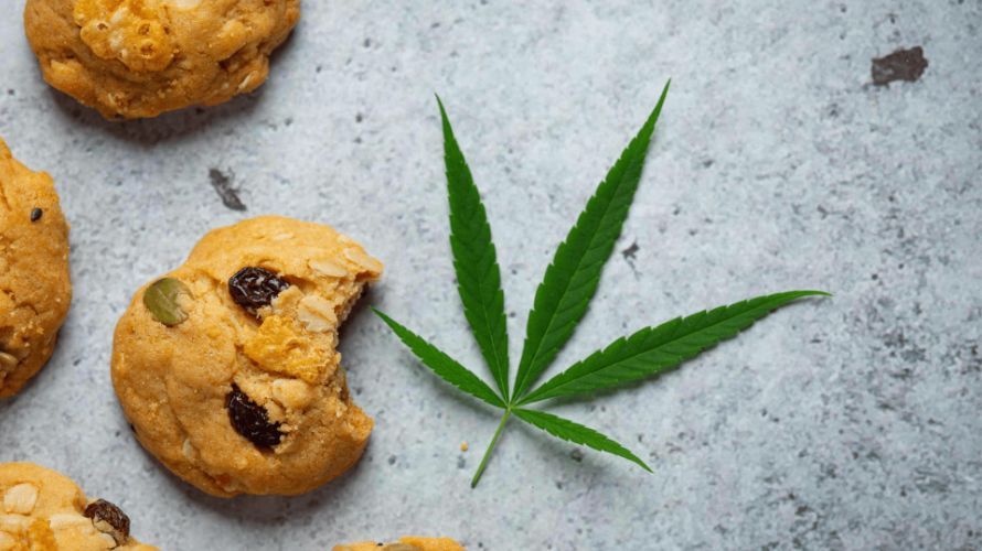 Chronic Farms is the leading online weed dispensary in Canada for cannabis edibles, concentrates, flower, vapes and accessories. 