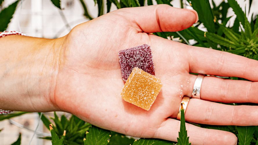 Are you looking for a long-lasting, smoke-free high? Then, edibles are for you. You can either buy them from an online weed dispensary or make them at home. 
