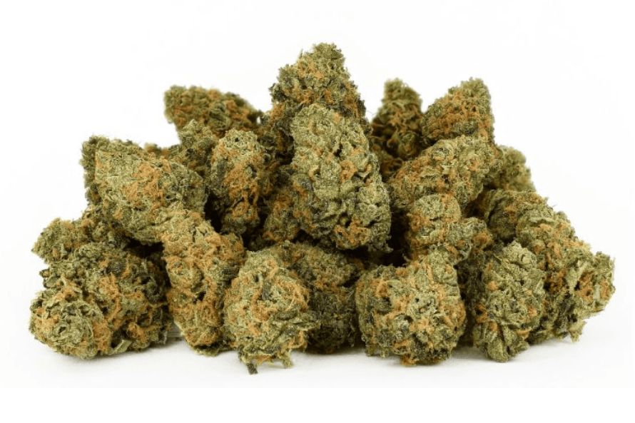 The Orange Crusher strain is a fruity hybrid sativa strain with an average of 20% THC. This strain is perfect for seasoned & newbie smokers alike. 
