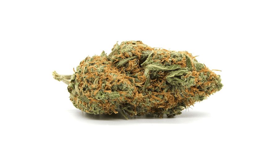 The Orange Crush weed is the perfect strain for you if you enjoy smoking high-THC strains. This bud is known to have between 22% and 29% THC. 