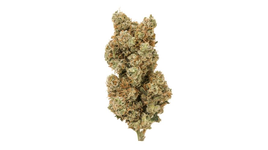 With so many hybrid strains available, deciding which is right for you can be arduous.