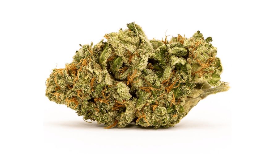 White Widow is a legendary hybrid leaning 60% towards indica. While it maxes out around 25% THC, the potent effects are tempered by its balanced genetics.
