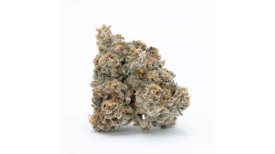 According to the Wedding Pie strain info, this strain has dense and highly compacted buds. 