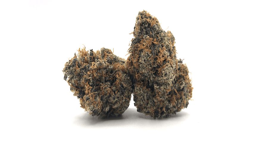 While Blue Coma is often described as a sativa-dominant hybrid, its precise classification can vary depending on factors such as phenotype expression and individual plant characteristics, and of course where you buy BC bud online.