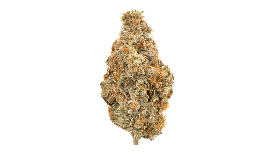 The indica and sativa classification of cannabis strains is still the most popular among enthusiasts who buy weed online. It helps you predict the effects a nug will provide.