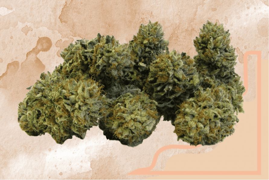 What is the Bubba Kush strain? This strain review explores the flavour & effects of this popular weed strain at our online dispensary in Canada.