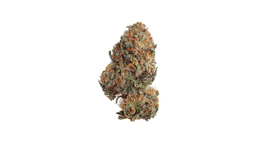 Bubble Gum strain THC level can vary depending on factors such as cultivation methods, growing conditions, and phenotype variations. 