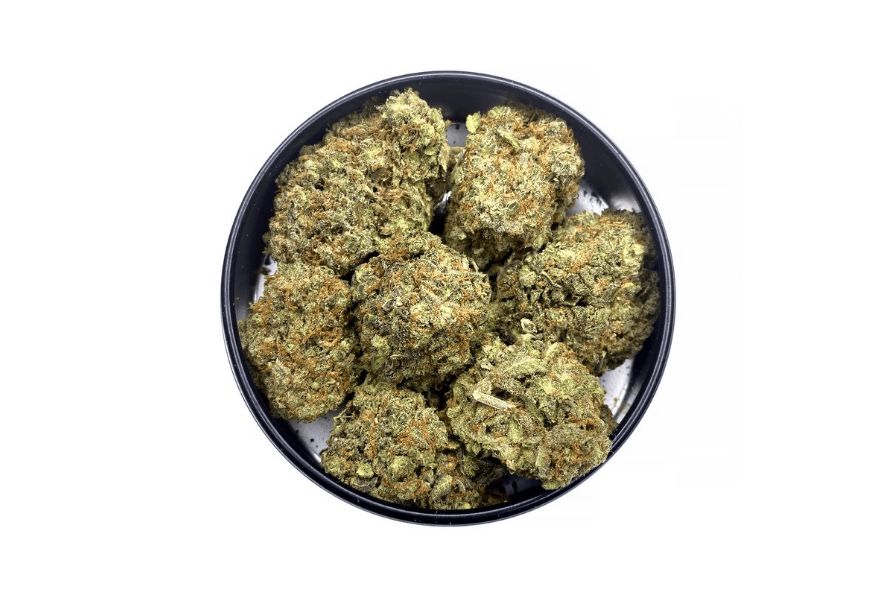 Learn all there is to about Bubble Gum Strain. Find out its origins & how a sativa dominant cannabis came to be one of the most popular strains.