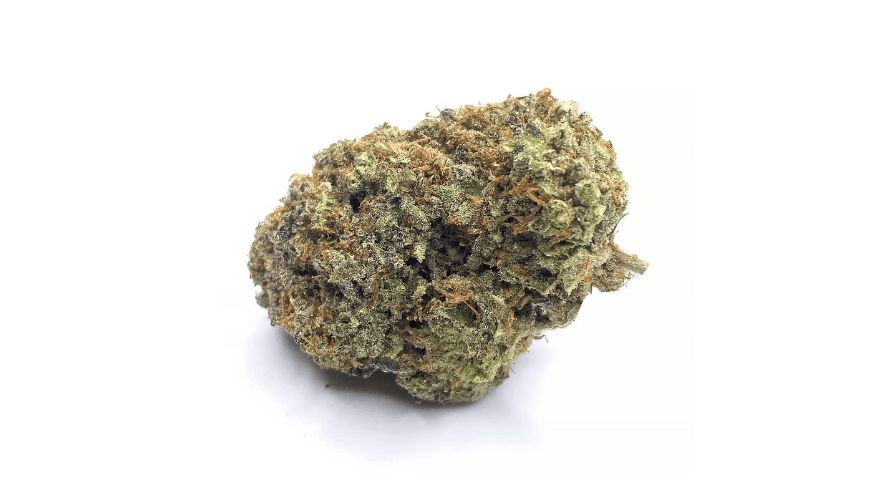 The Bubblegum strain has a distinct appearance and aroma that contributes to its popularity among online weed dispensary enthusiasts. 