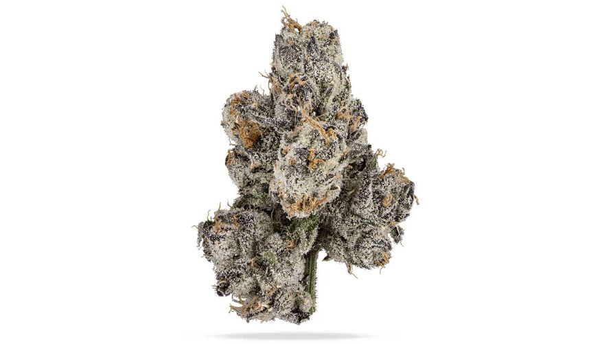 The terpene profile of the Bubble Gum weed plays a crucial role in shaping its aroma, flavour, and overall effects. 