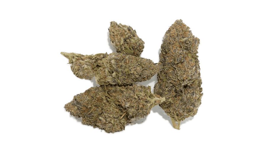 To enjoy the aromatic flavour of the Slurricane strain, order weed online from the best mail-order marijuana dispensary, Chronic Farms. 