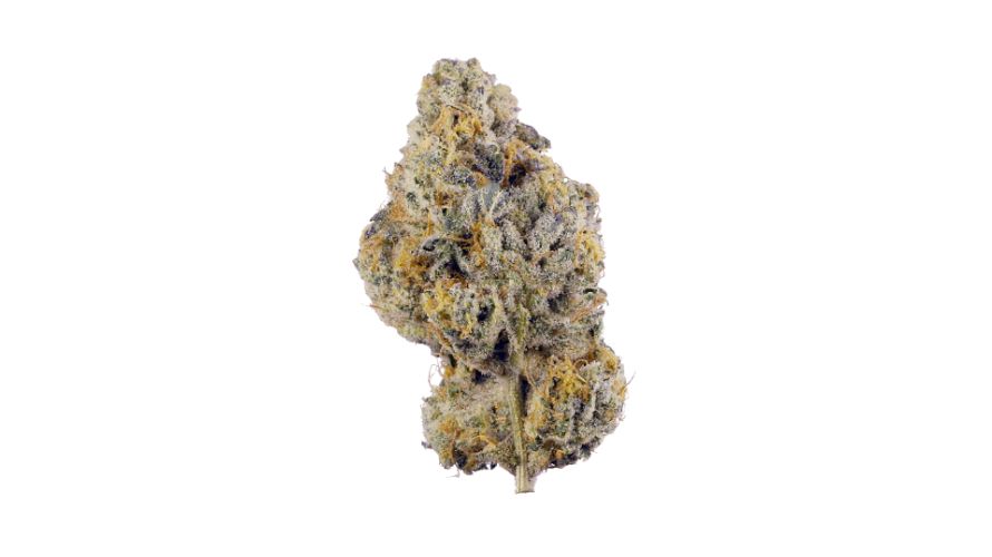 Buy the Wedding Pie strain at Chronic Farms and enjoy a flavourful blend of aroma and potency! 