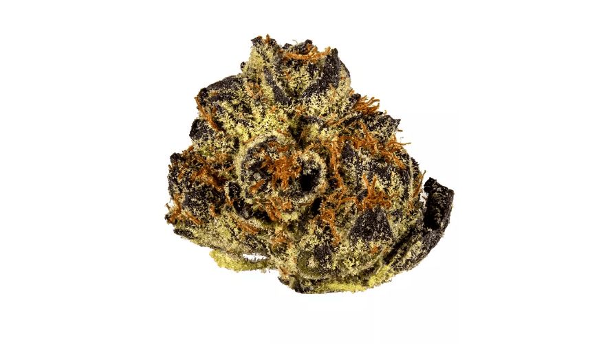 The Fried Ice Cream strain is a potent cannabis strain known for its high THC levels, which contribute to its powerful effects and popularity among enthusiasts. 