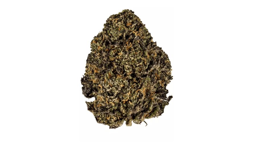 Gelato 33 strain is not only renowned for its potent effects and captivating aroma but also for its rich terpene profile, which contributes to its overall sensory experience.