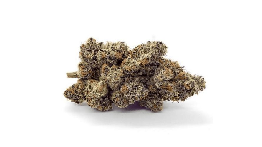 The Gelato 33 strain is renowned for its remarkable effects, which have contributed to its widespread popularity among cannabis enthusiasts. 