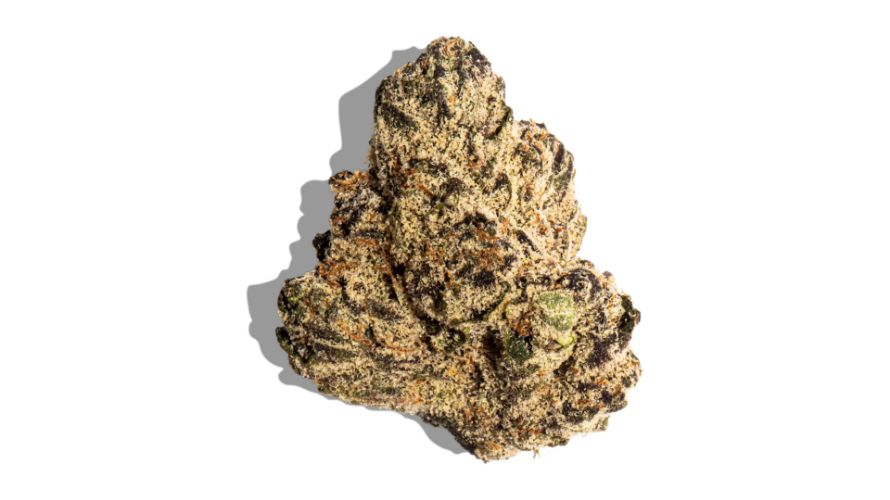 Gelato 33 strain is highly regarded for its potent effects and rich terpene profile, but one of its most notable attributes is its impressive THC level. 