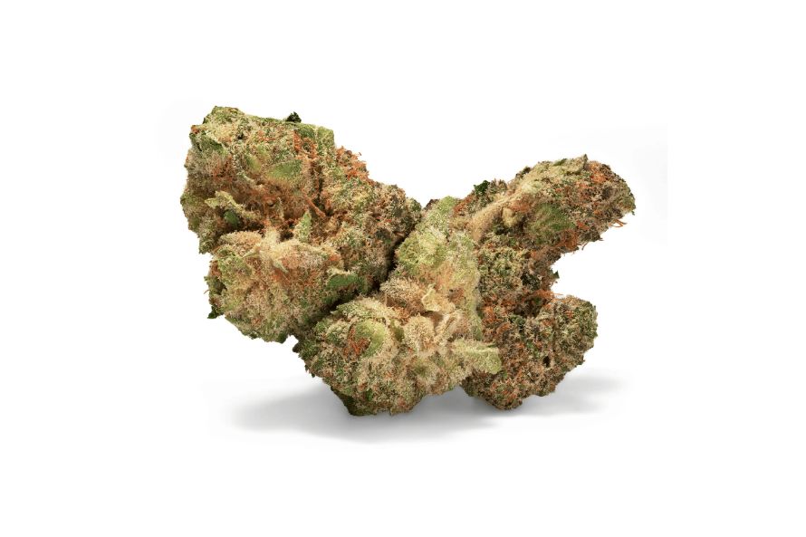 Discover all there is to the Gelato 33 strain, including its flavours, effects, and benefits. Discover if Gelato 33 is the right strain for you!