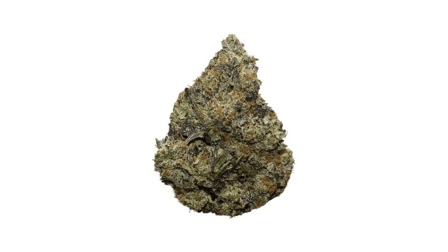 Jet Fuel AAAA+, also known as G6, is a sativa-dominant hybrid strain renowned for its potent effects and high THC levels averaging between 17-19%. 