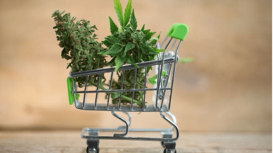 There are so many products you could try when you buy weed from online cannabis stores in Canada.