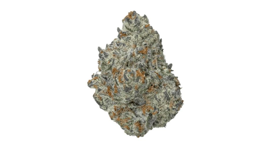 Ice Cream Cake strain has gained widespread acclaim in the cannabis community, earning accolades and awards, including a notable 2nd prize in the hydro category at the prestigious 2008 Highlife Cup.