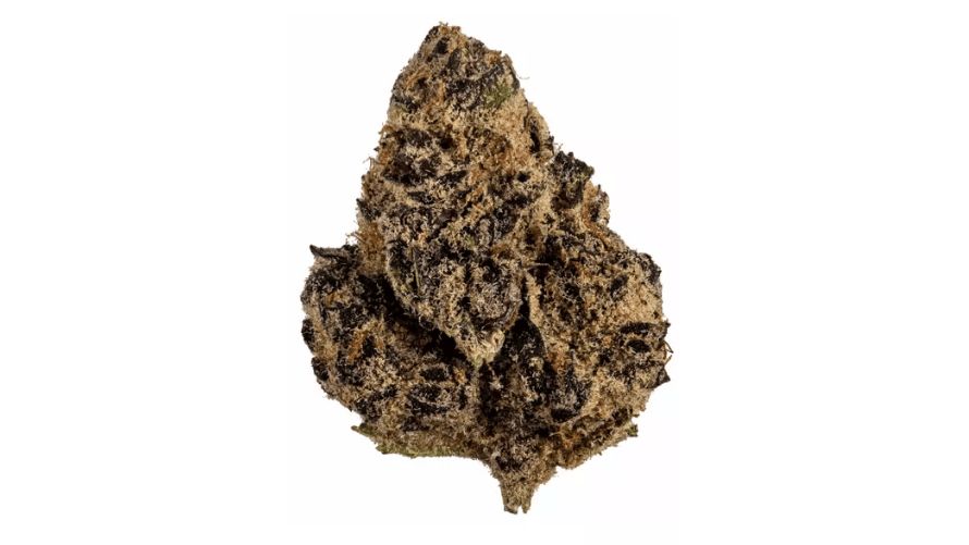 Tropicana Cookies is a captivating cannabis strain that has quickly become extremely popular among enthusiasts and connoisseurs; it is distinguished by its vibrant terpene profile and invigorating effects. 