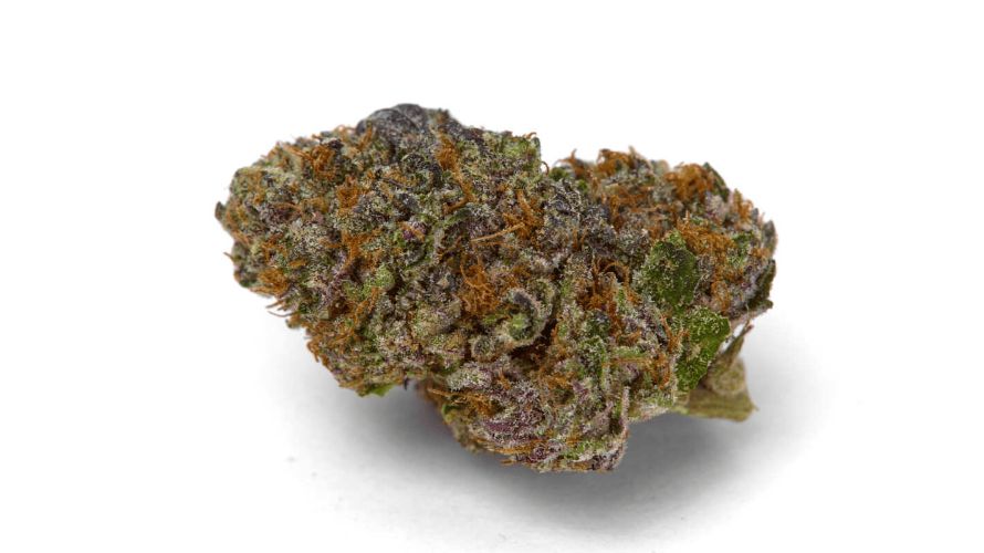 As hinted to in the Sundae Driver strain info, you're dealing with an evenly balanced hybrid—50 percent Indica and 50 percent Sativa.